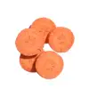 Freeze Dried Carrot